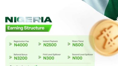 Primeshares earning structure for Nigeria