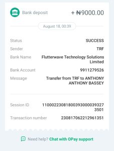 Earnhive payment 