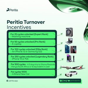 Peritia Turnover incentives
